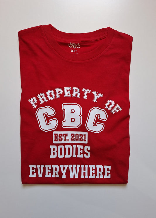 Property of t-shirt 