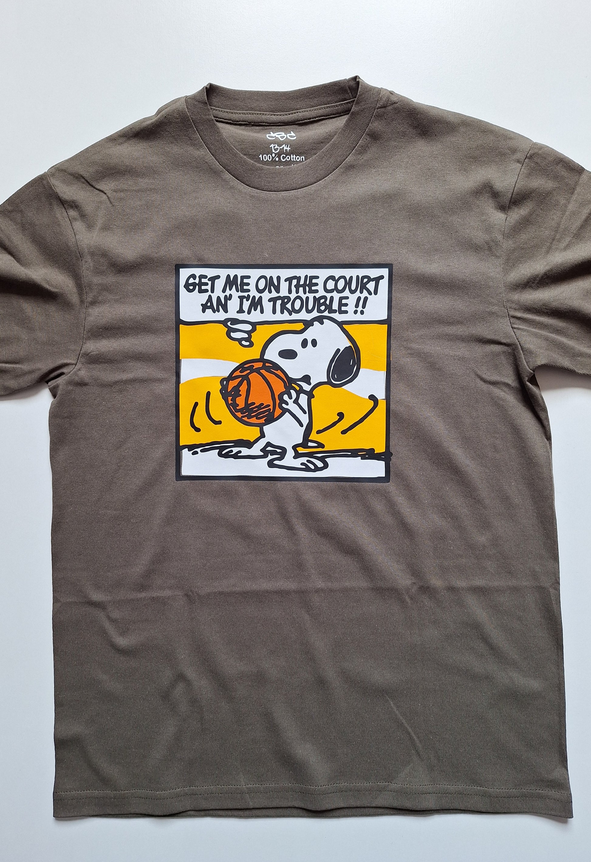 Ice Cube Peanuts T-shirt - Catch Body Customs